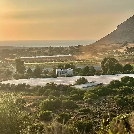 Celeste Vila Chania (Crete)