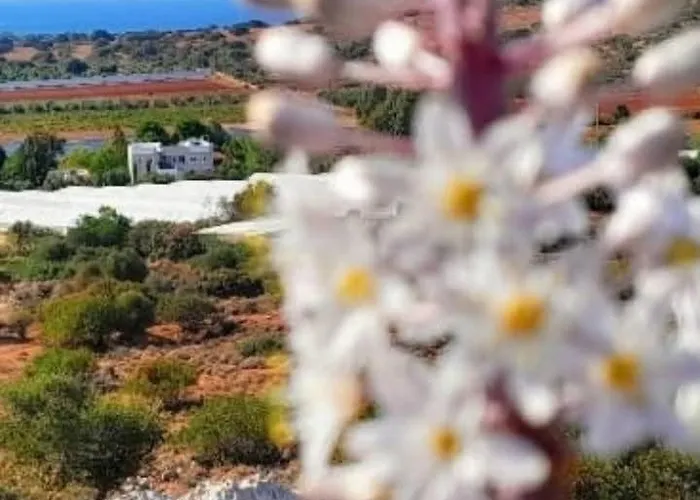 Celeste * Chania (Crete)